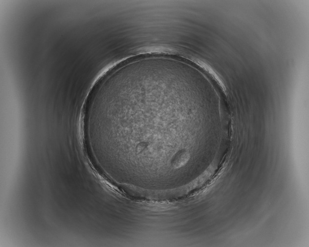 X0000116550983200912171345