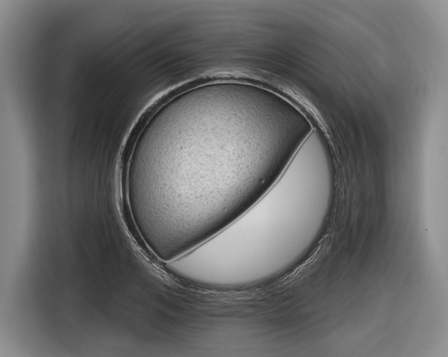 X0000116550984200912171345