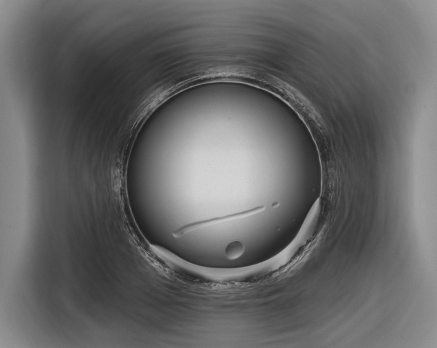 X0000116550985200912171345