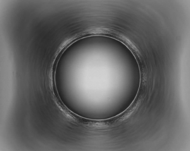 X0000116550986200912171345