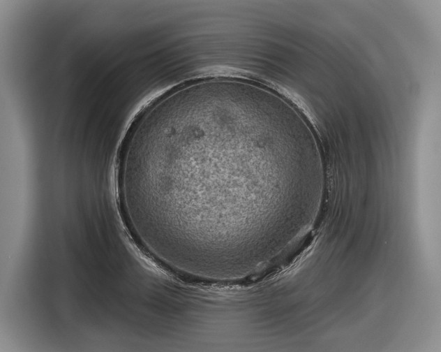 X0000116550987200912171345