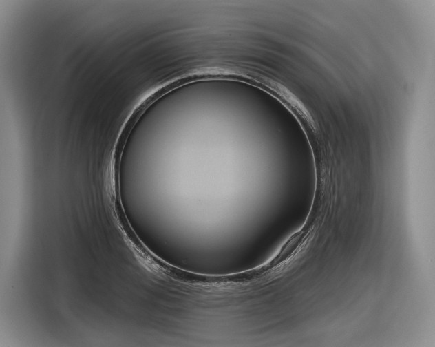 X0000116550988200912171345