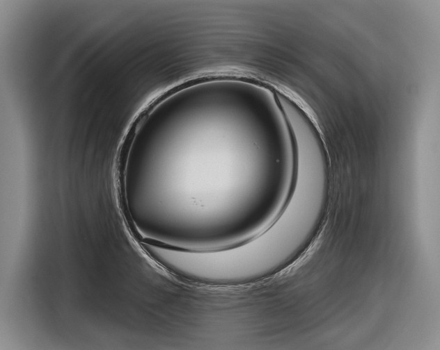 X0000116550989200912171345