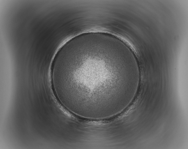 X0000116550990200912171345