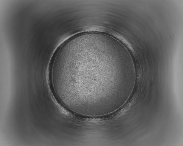 X0000116550991200912171345