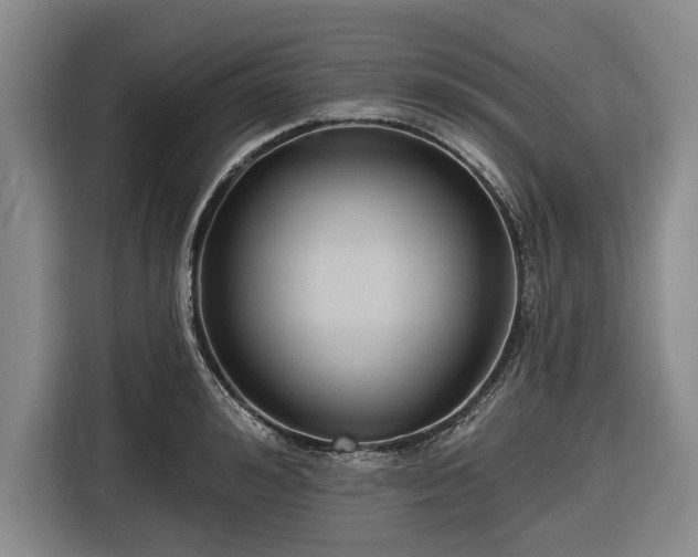 X0000116550992200912171345