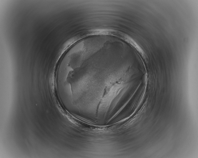 X0000116550994200912171345