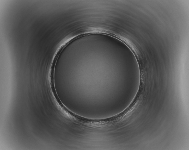 X0000116550995200912171345