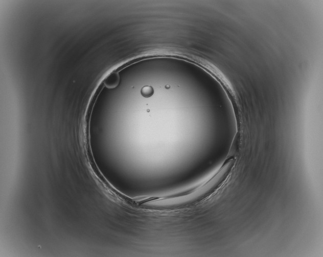 X0000116550996200912171345