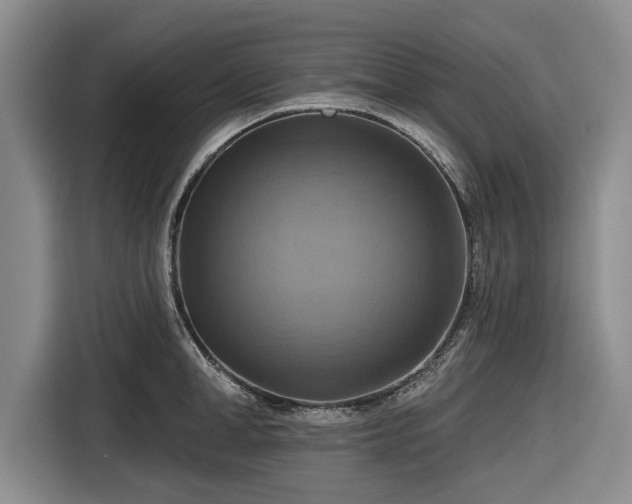 X0000116550998200912171345