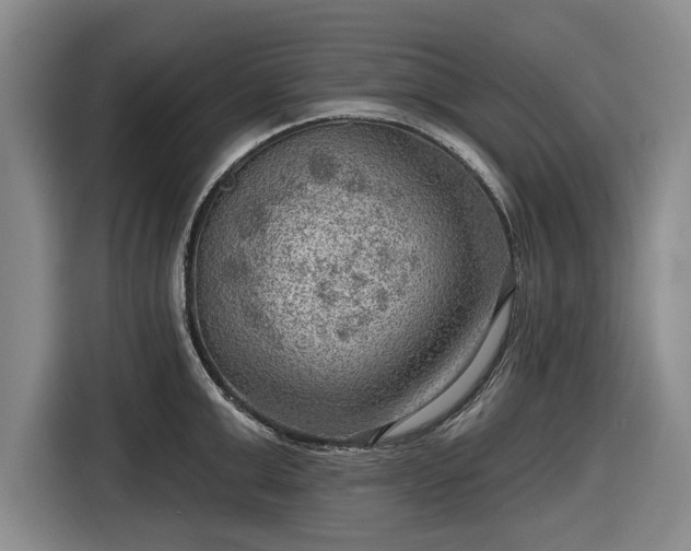 X0000116550999200912171345