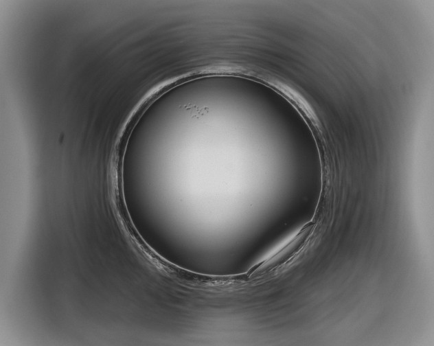 X0000116551000200912171345