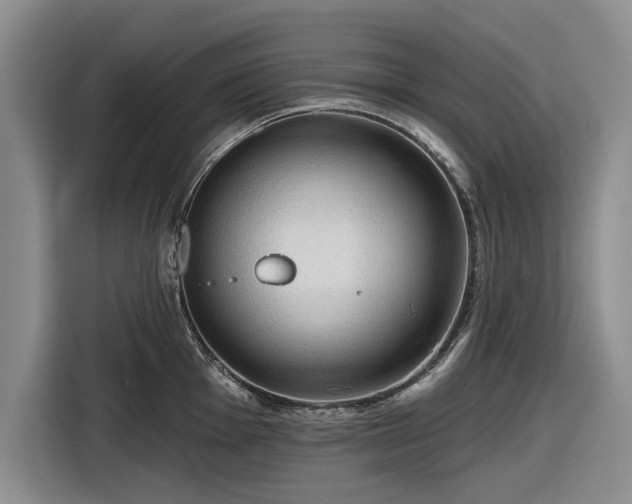 X0000116551001200912171345