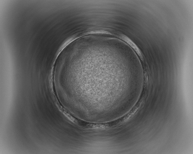 X0000116551002200912171345