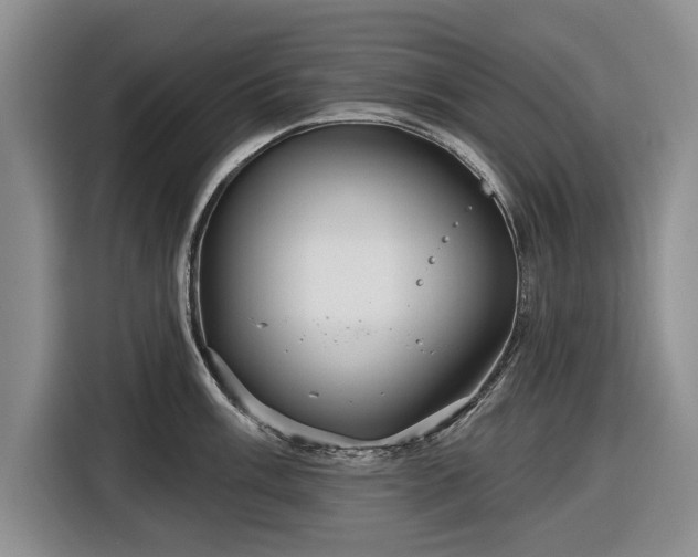 X0000116551003200912171345