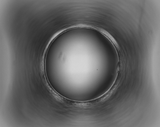 X0000116551004200912171345