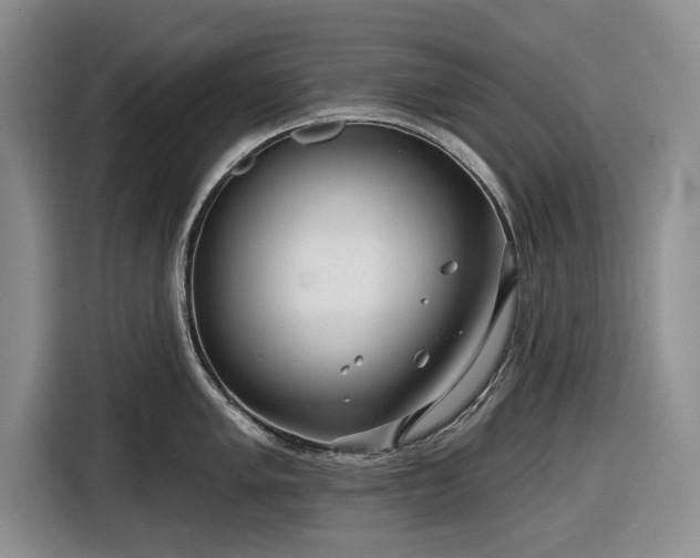 X0000116551005200912171345