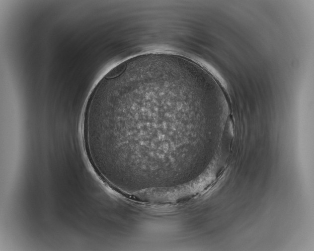 X0000116551007200912171345