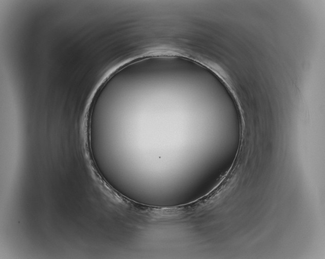 X0000116551008200912171345