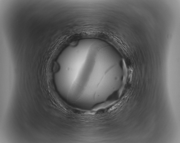 X0000116551009200912171344