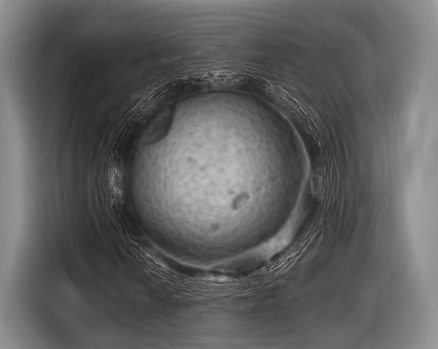 X0000116551010200912171344