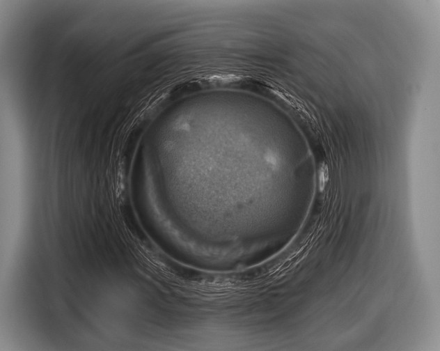 X0000116551011200912171344