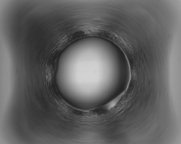 X0000116551012200912171344