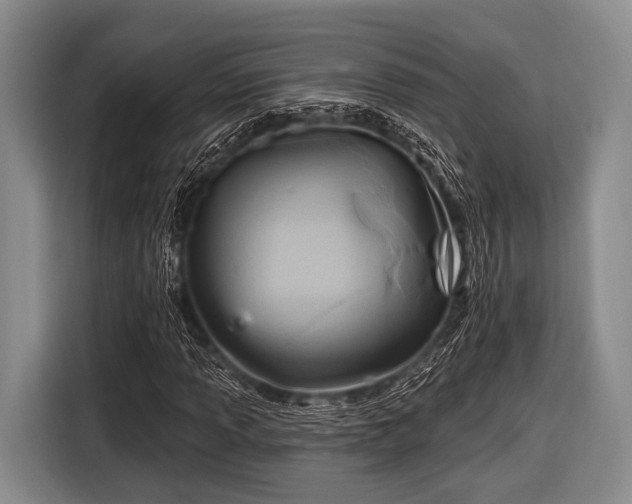 X0000116551013200912171344