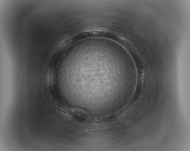 X0000116551014200912171345