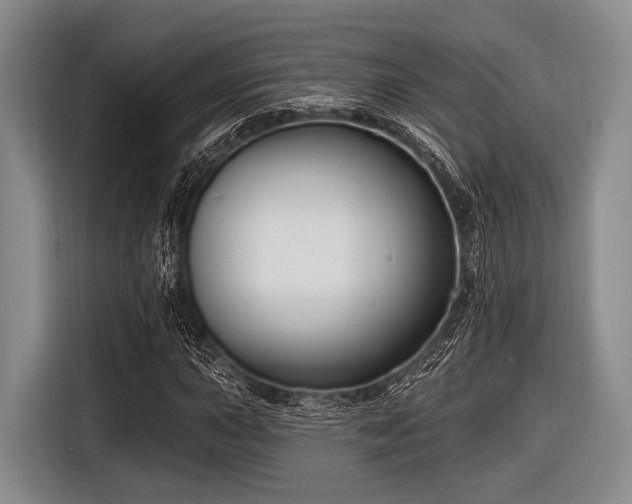 X0000116551015200912171345