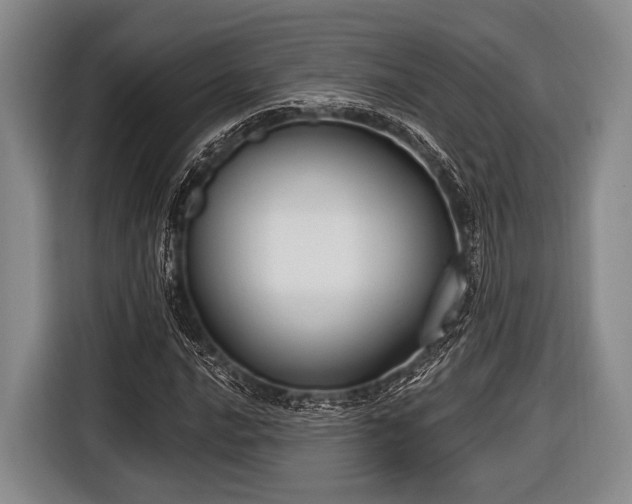 X0000116551016200912171345