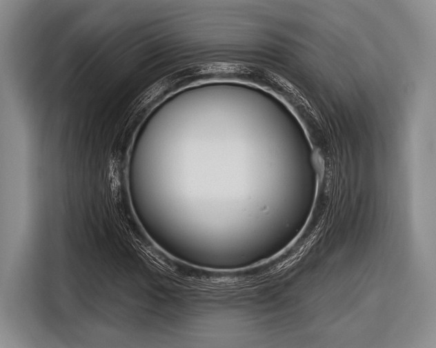 X0000116551017200912171345