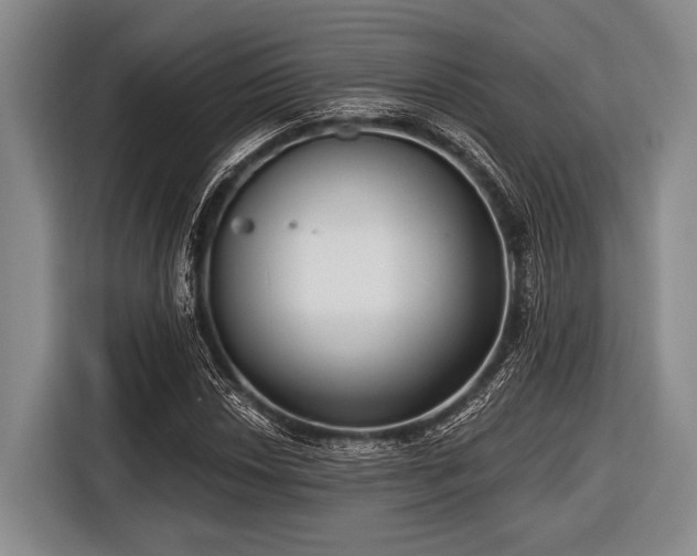 X0000116551018200912171345