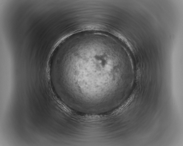 X0000116551019200912171345