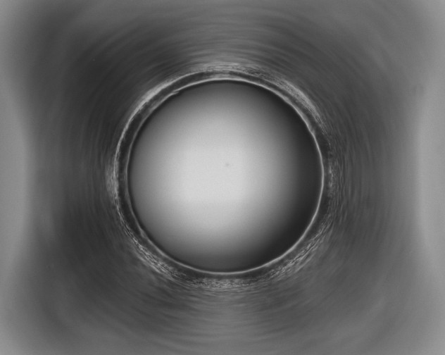 X0000116551020200912171345