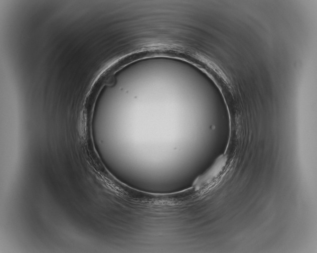 X0000116551021200912171345