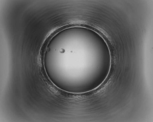 X0000116551022200912171345