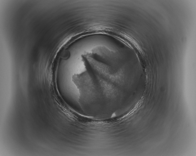 X0000116551023200912171345