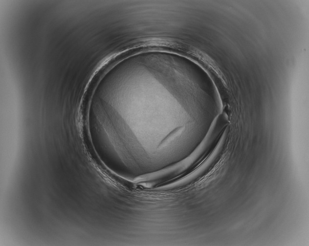 X0000116551024200912171345