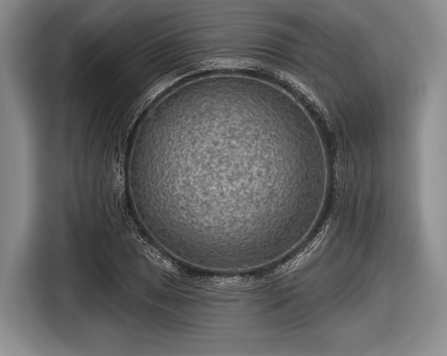 X0000116551025200912171345