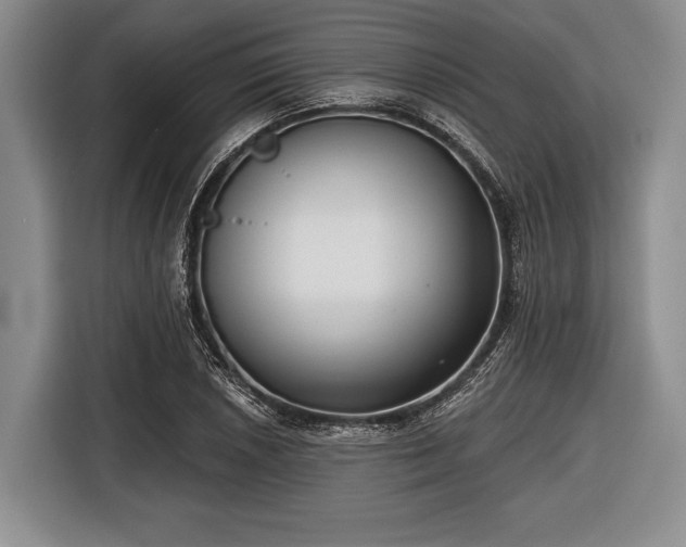 X0000116551026200912171345