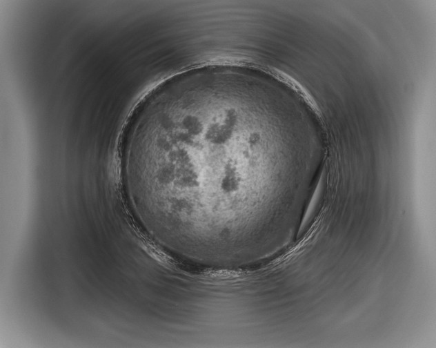 X0000116551027200912171345