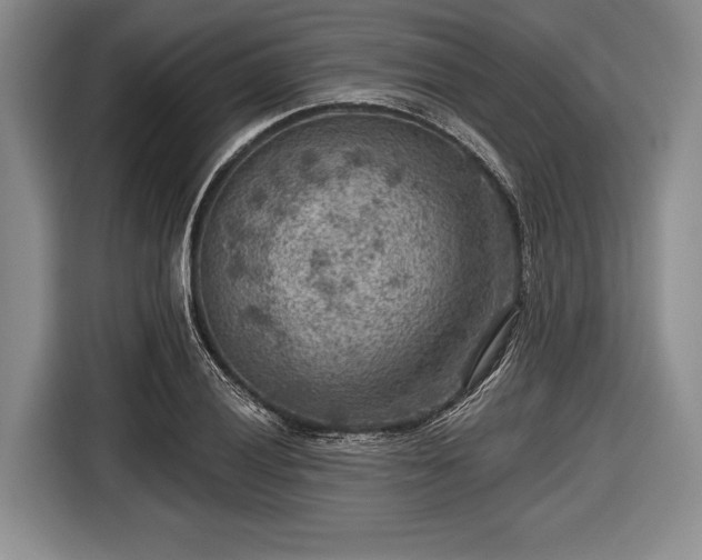 X0000116551028200912171345