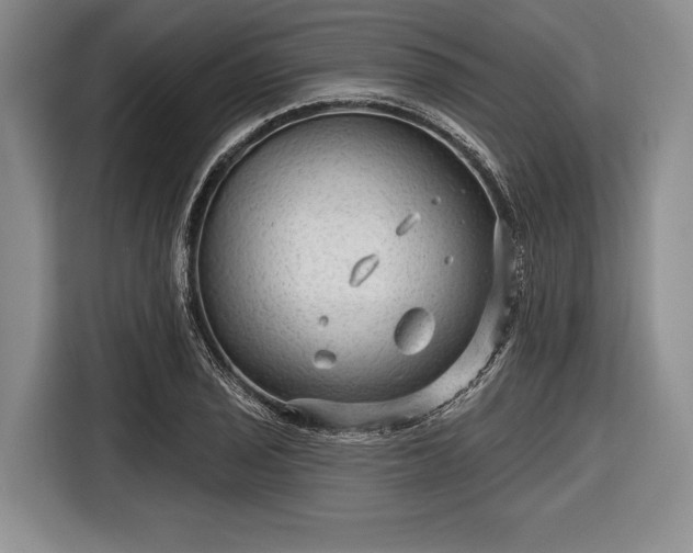 X0000116551029200912171345