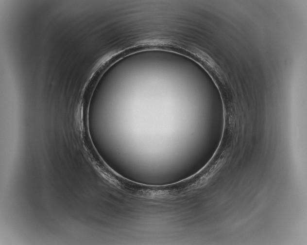 X0000116551030200912171345