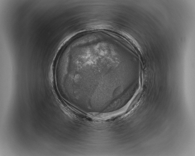 X0000116551031200912171345