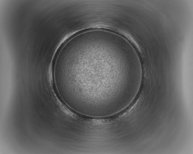 X0000116551032200912171345