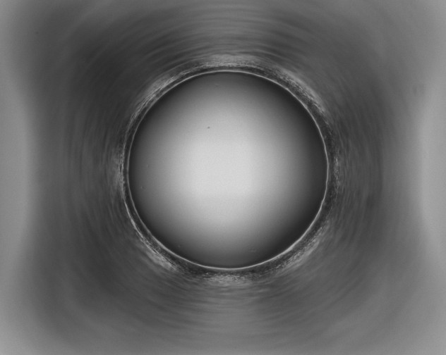 X0000116551033200912171345