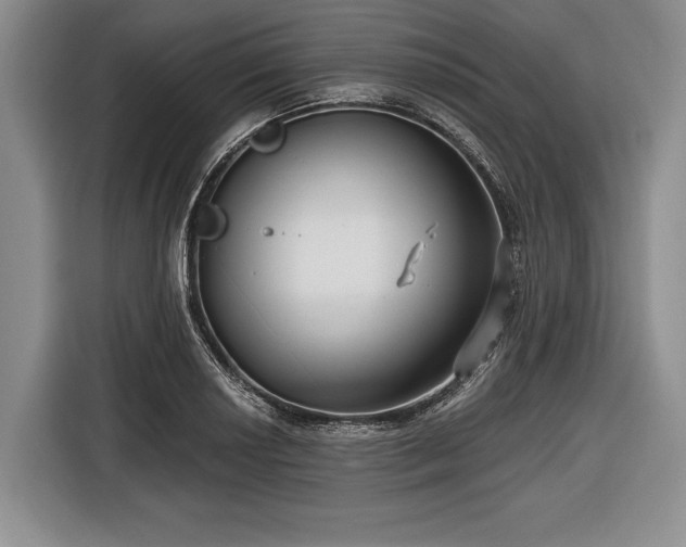 X0000116551034200912171345