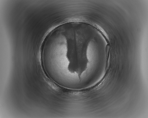 X0000116551035200912171345